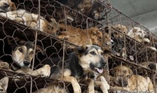 满口牙大概费用得多少 满口牙大概费用得多少